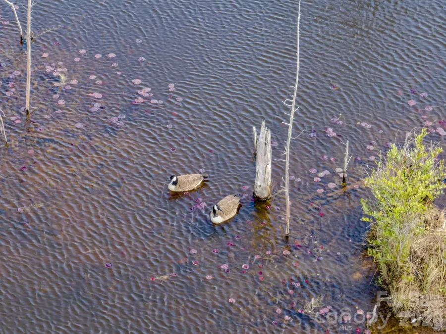 0 Lobelia Road, Vass, NC 28394 - #2