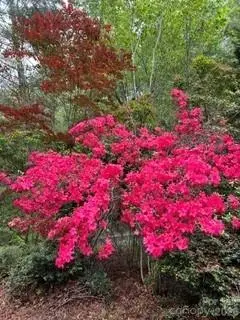 2276 Nature Lane, Lenoir, NC 28645 - #3