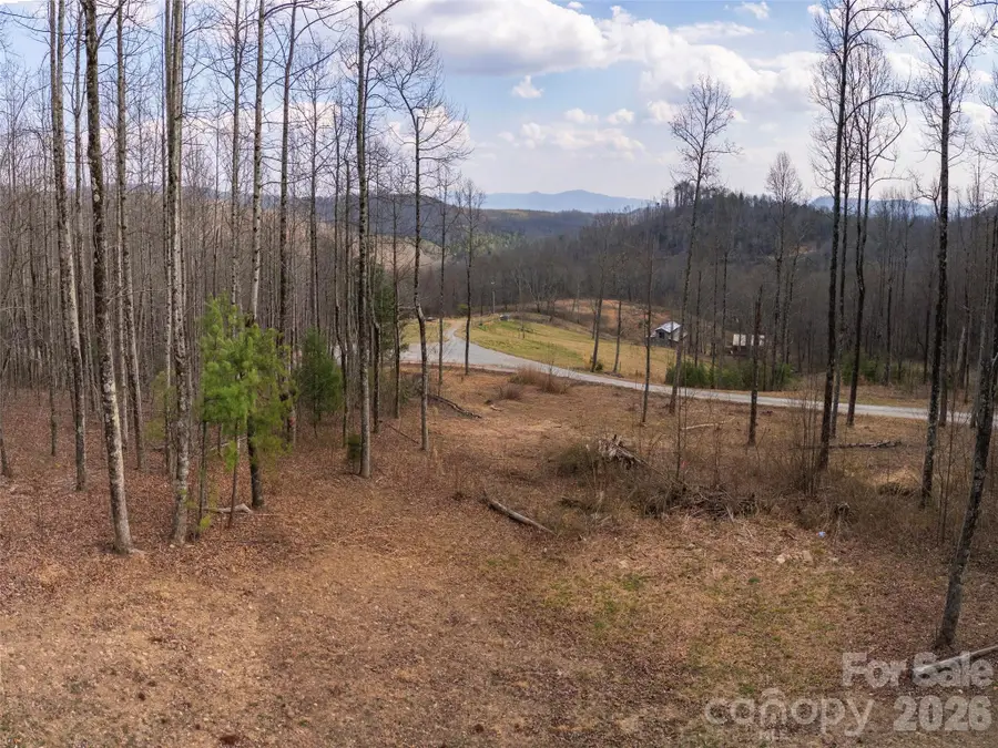 220 Simply Grateful Drive, Hendersonville, NC 28792 - #3