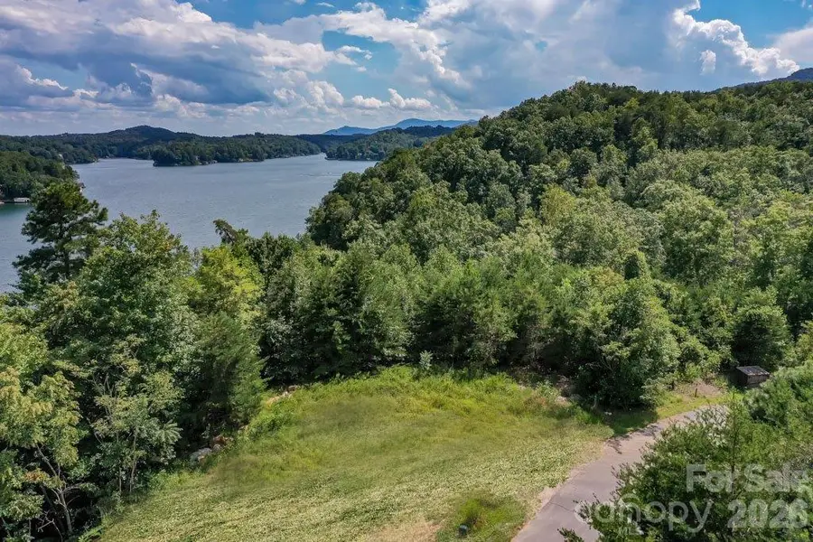 000 Holmstead Drive, Lake Lure, NC 28746 - #2