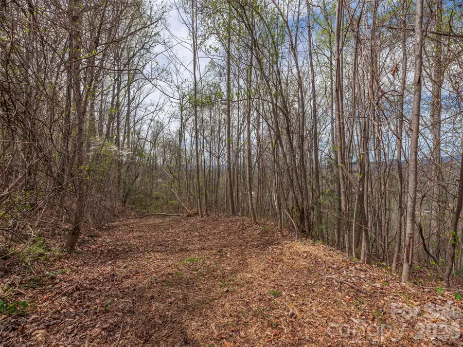 137 & 145 Cedar Mountain Road, Asheville, NC 28803 - #2