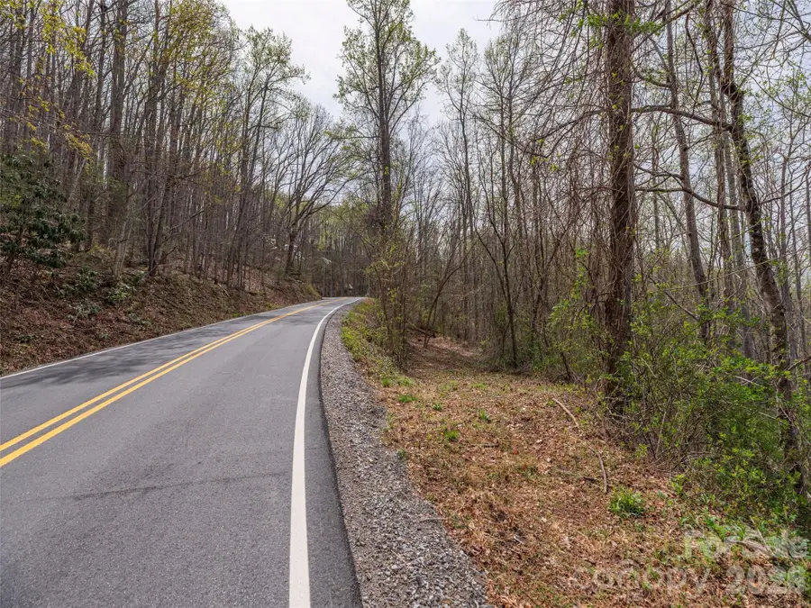 111 & 125 Cedar Mountain Road, Asheville, NC 28803 - #3