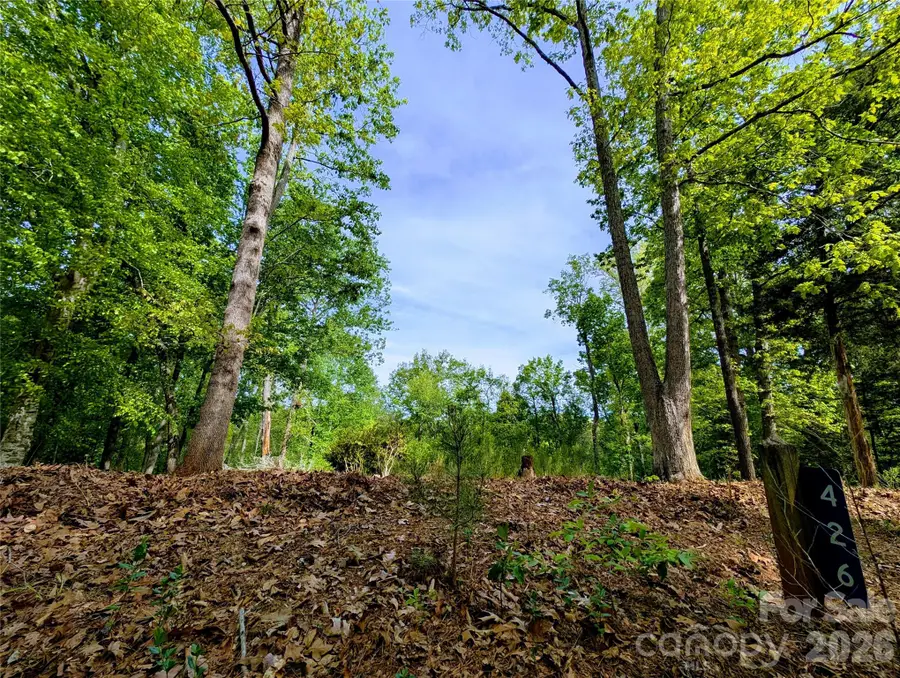 426 Mountain Ridge Court, Fort Mill, SC 29707 - #3