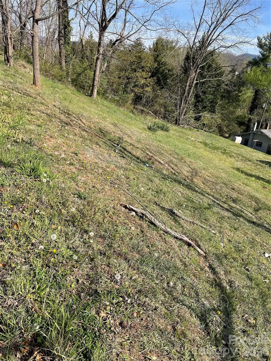 00 Locust Street, Canton, NC 28716 - #2