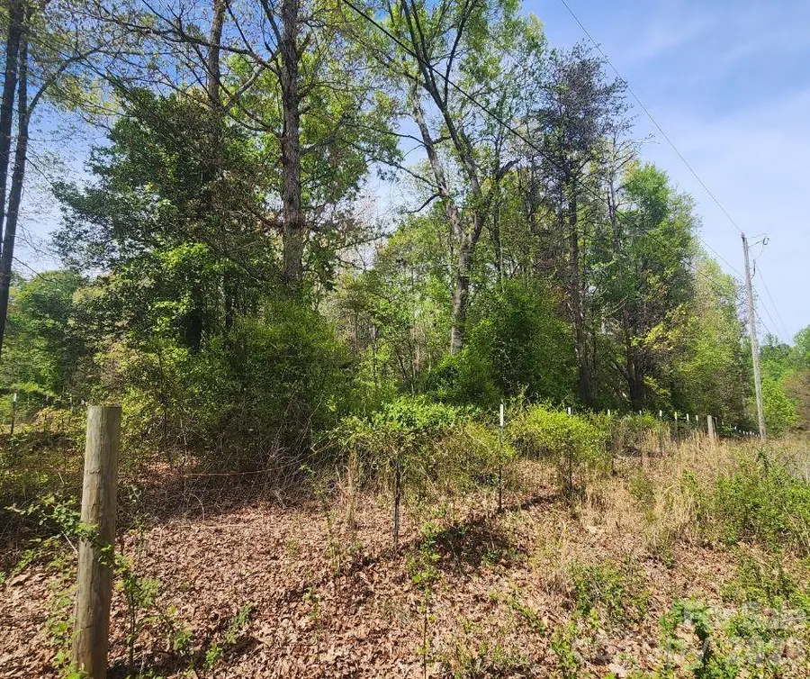 00 Saddlebrook Lane, Cherryville, NC 28021 - #3