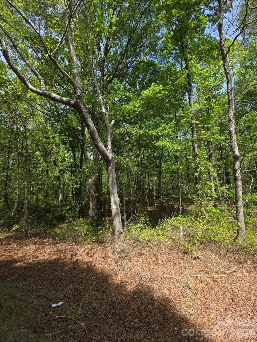 6515 Wolf Pond Road, Monroe, NC 28112 - #3