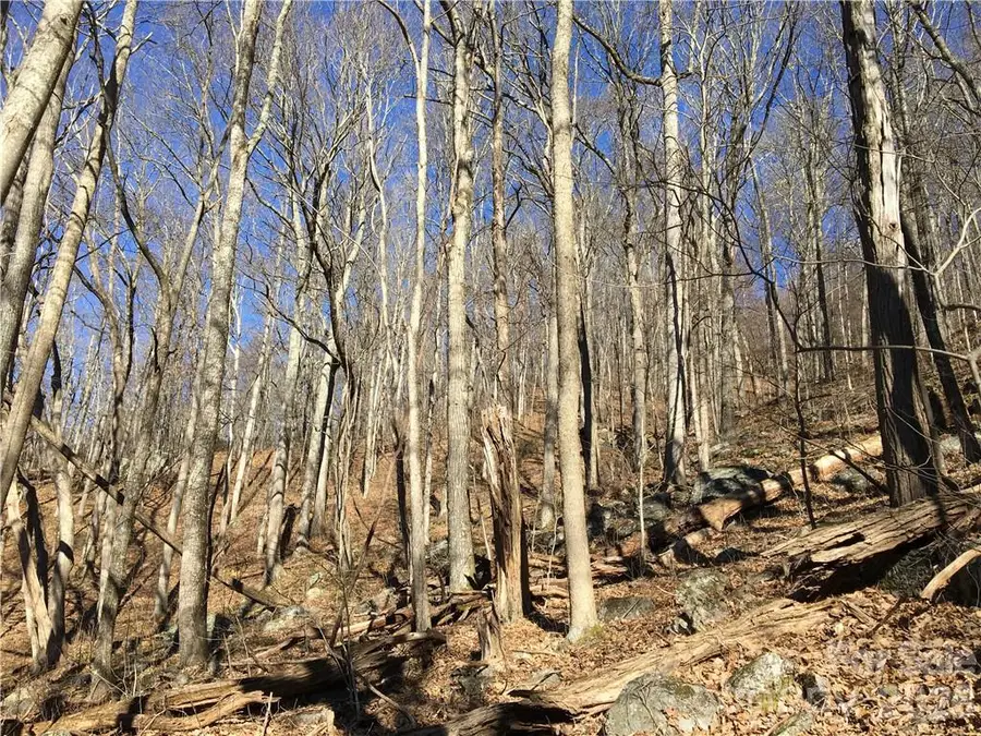 99999 Red Oak Forest Road, Fairview, NC 28730 - #3