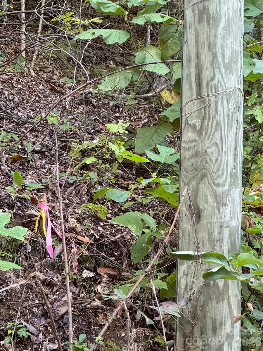 TBD Red Oak Forest Road, Fairview, NC 28730 - #3