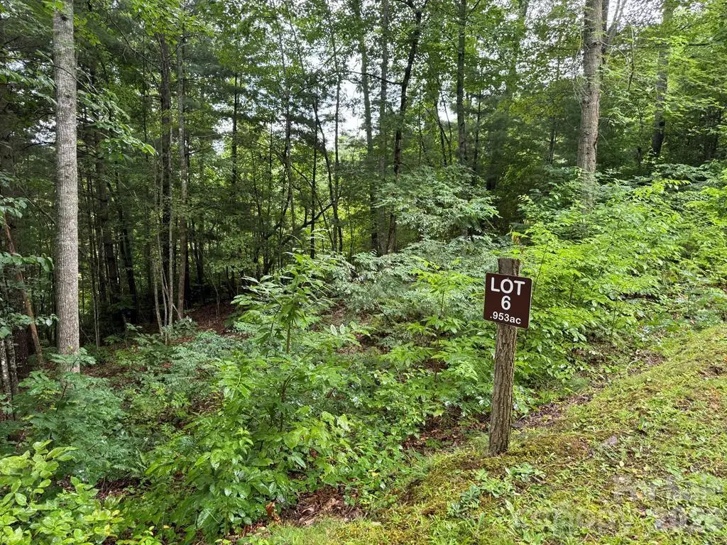 Lot 6 Garnet Road, Sylva, NC 28779 - #1
