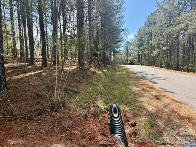 430 Clearwater Parkway, Rutherfordton, NC 28139 - #3