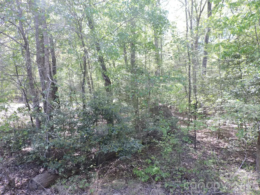 293 Manchester Road, Mount Gilead, NC 27306 - #2