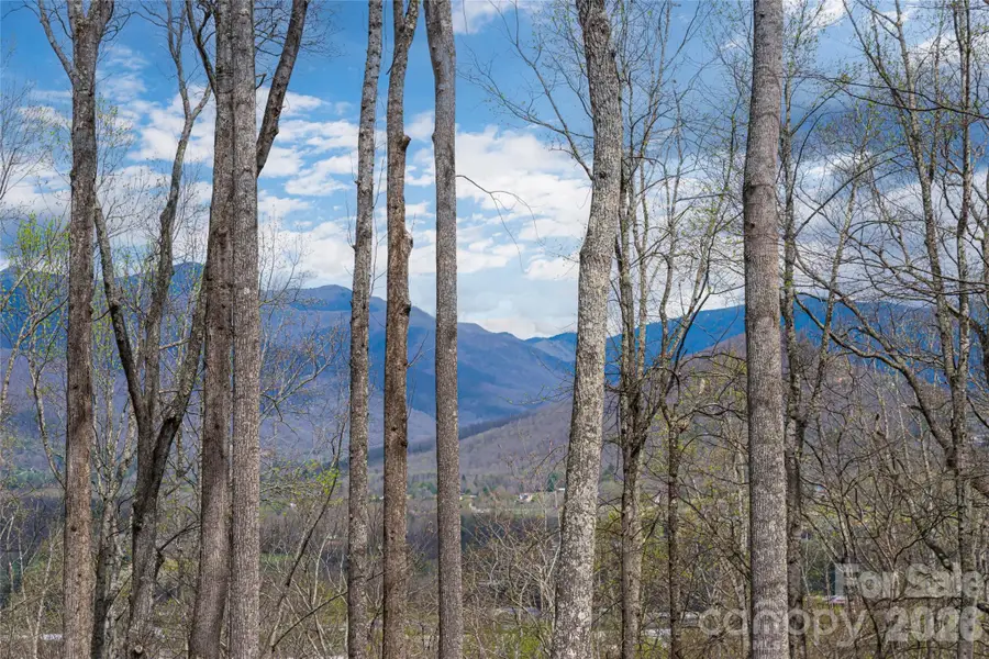 51 Summit Road, Swannanoa, NC 28778 - #3