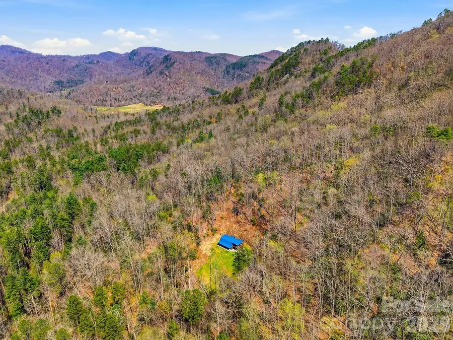 3138 Buffalo Creek Road, Lake Lure, NC 28746 - #3