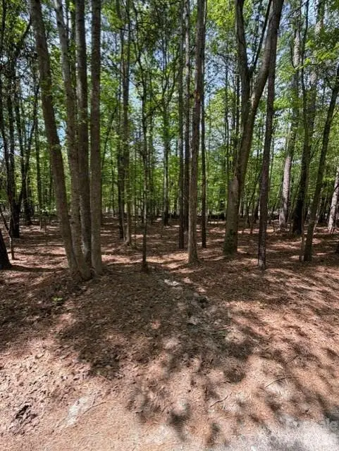00 Truesdale Drive, Great Falls, SC 29055 - #1