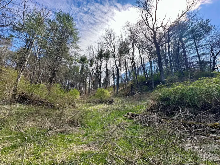 000 Cane Creek Avenue, Bakersville, NC 28705 - #2