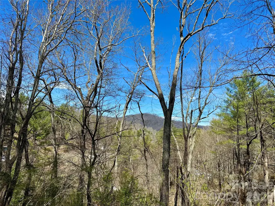 000 Cane Creek Avenue, Bakersville, NC 28705 - #3