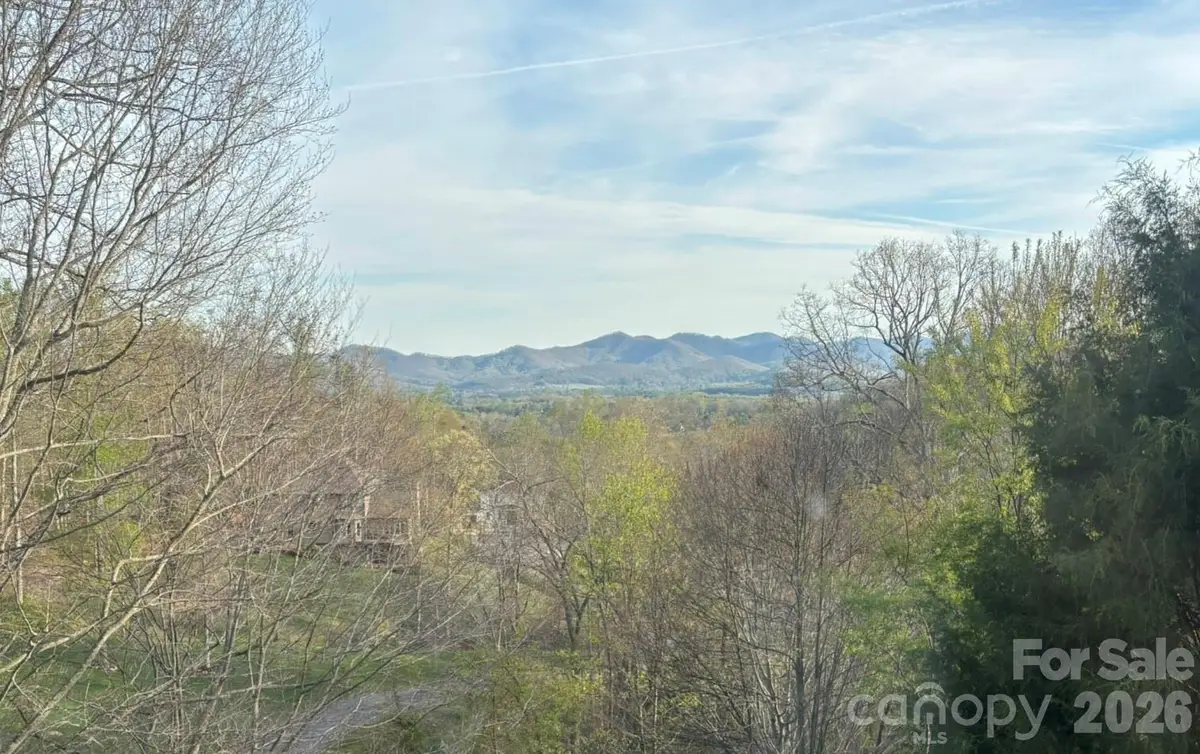 24 Sunnie Rae Lane, Candler, NC 28715 - #1