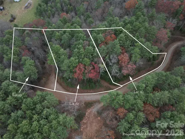 11 Wildlife Drive #11, Clyde, NC 28721