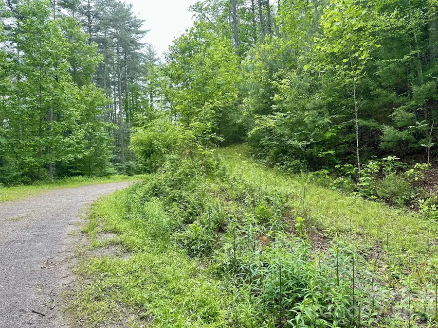 11 Wildlife Drive #11, Clyde, NC 28721 - #2