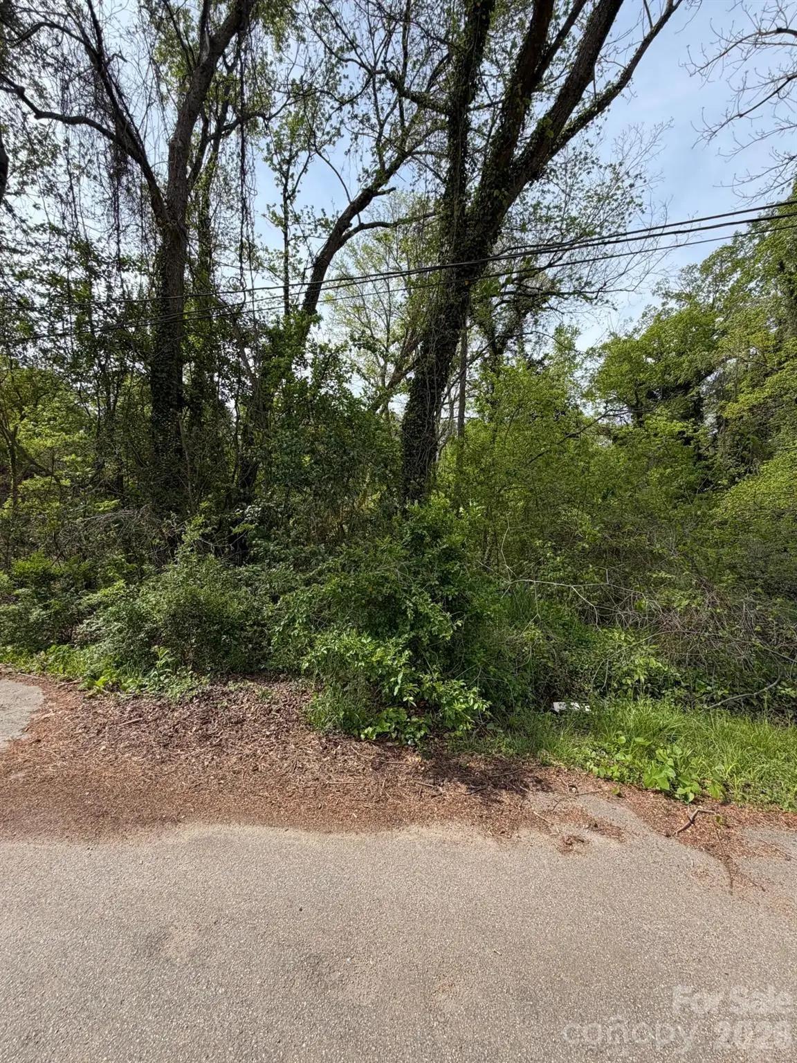1193 Watson Street, Rock Hill, SC 29732 - #1