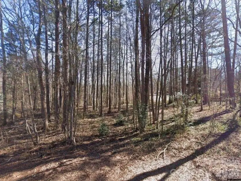 155 Pinecrest Street, Salisbury, NC 28147 - #1