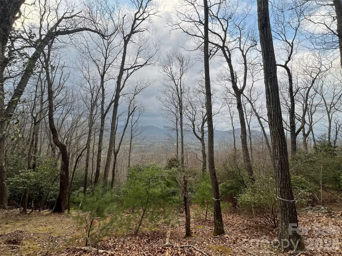 27 Deer Grass Court, Arden, NC 28704 - #1