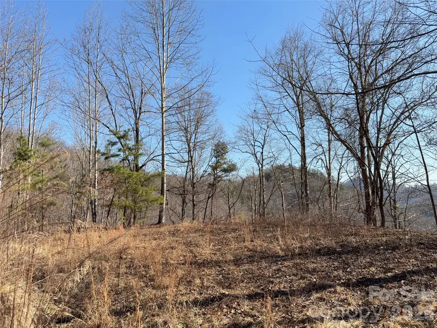 0 Brush Creek Road #37 & 41, Bryson City, NC 28713 - #3