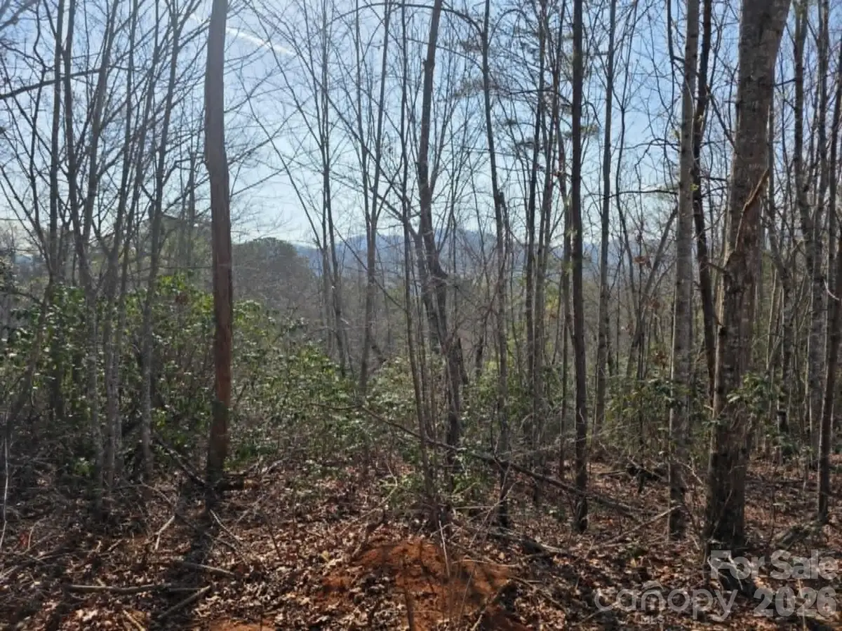 Lot 8 Kerlee Lane, Old Fort, NC 28762 - #1