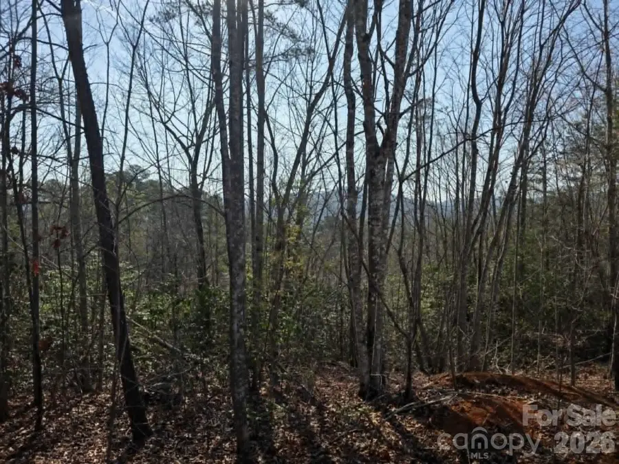 Lot 8 Kerlee Lane, Old Fort, NC 28762 - #3