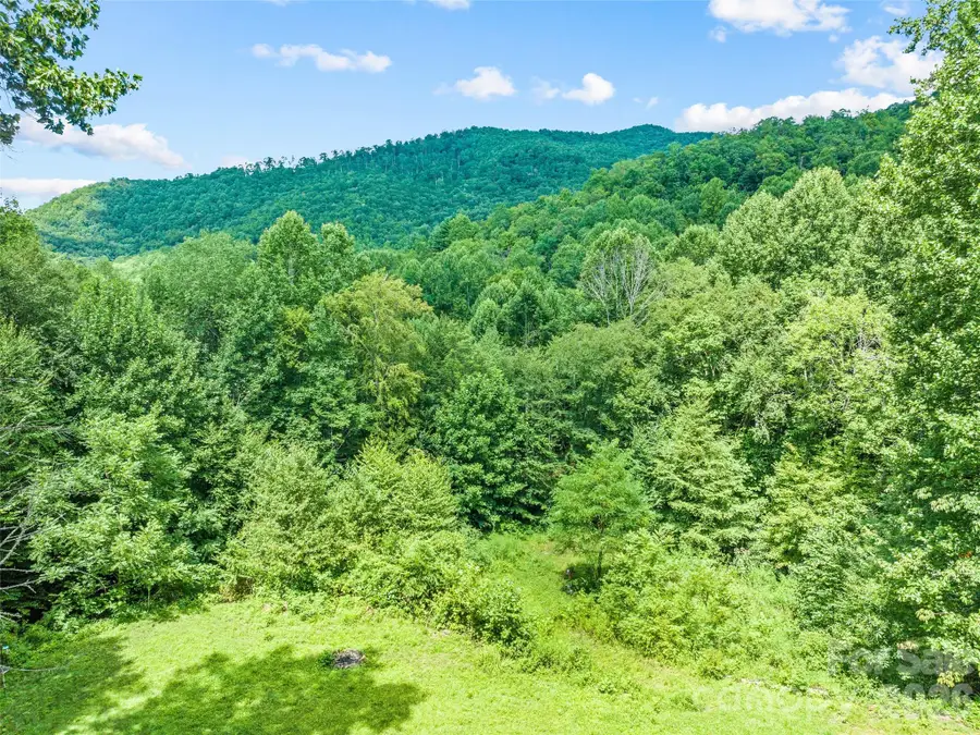 247 Three Springs Drive, Sylva, NC 28779 - #3