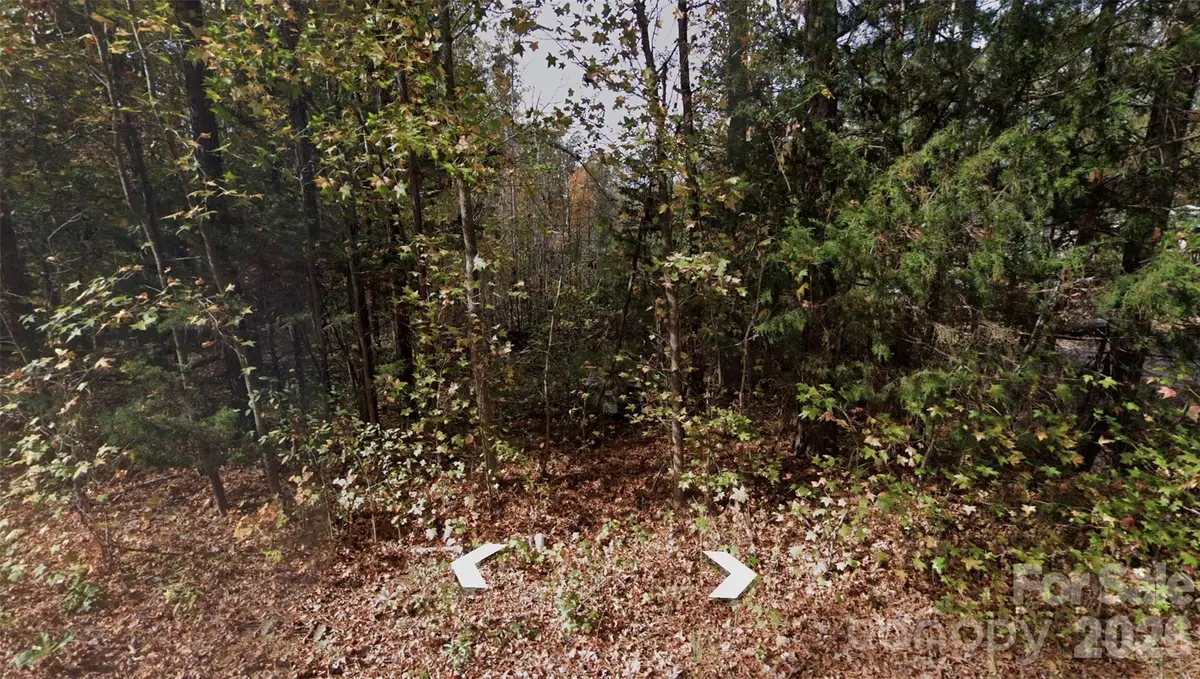 Lot 36 Smith Woods Lane #36, Hickory Grove, SC 29717 - #1