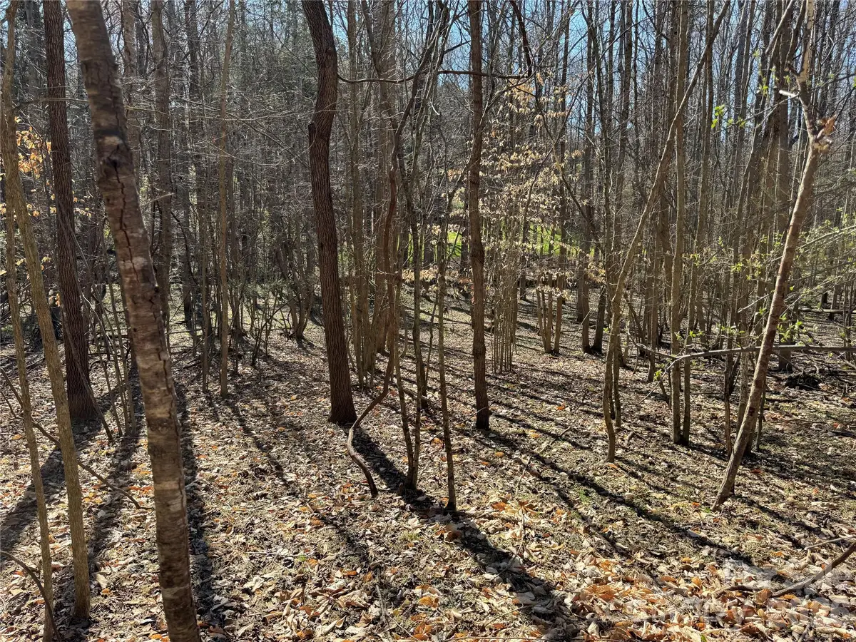 11490 King James Boulevard #2, Davidson, NC 28036 - #1