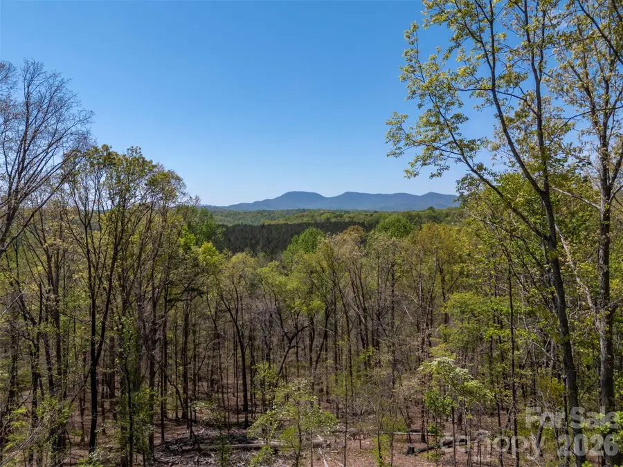 2825 River Road, Columbus, NC 28722 - #2