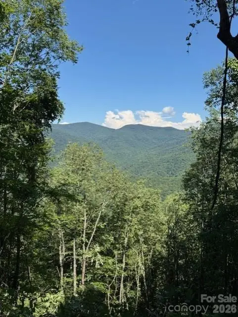 5379 Preserve Road #189, Sylva, NC 28779 - #2