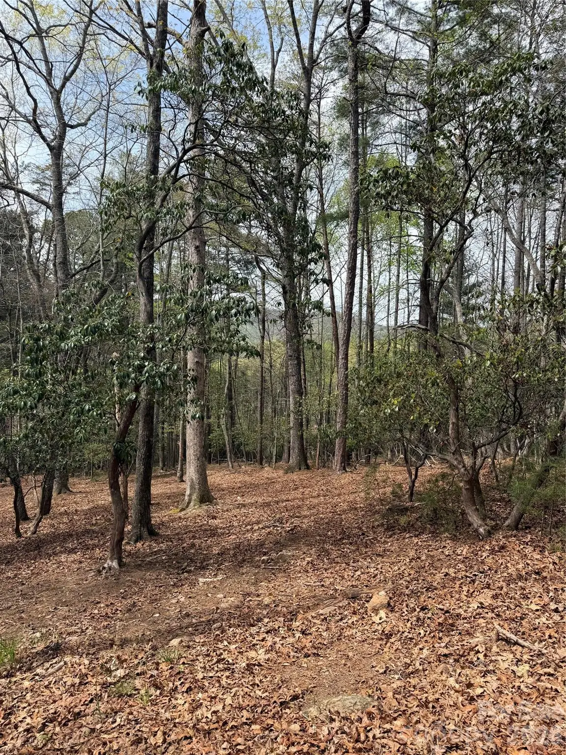 1553 Country View Way, Arden, NC 28704 - #1