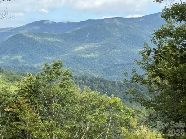 LT 262 Tote Road #262, Sylva, NC 28779