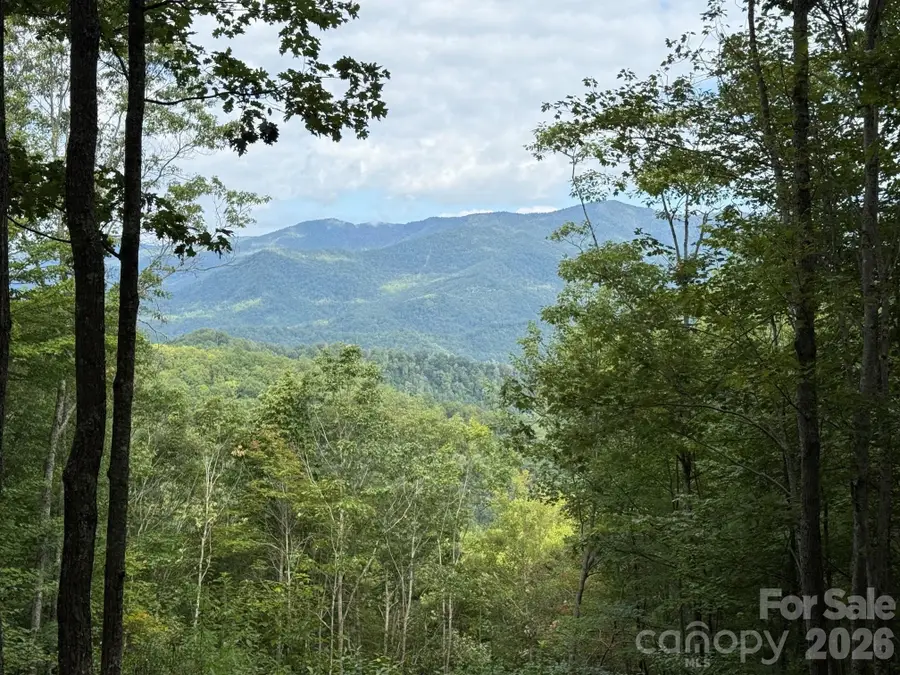 LT 262 Tote Road #262, Sylva, NC 28779 - #3