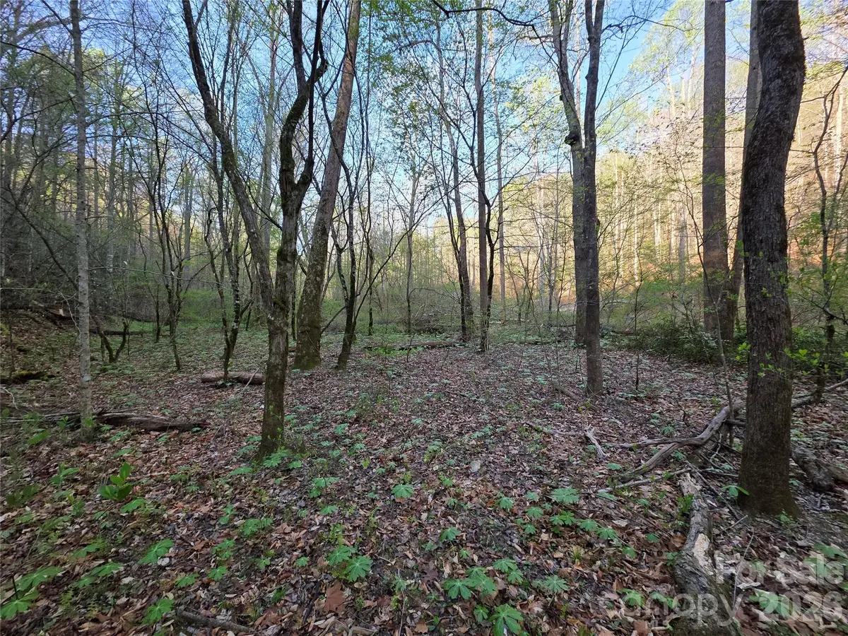 00 Mountain Creek Way, Marion, NC 28752 - #1
