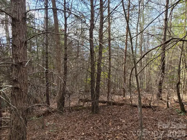 Lot 10 Kerlee Lane, Old Fort, NC 28762