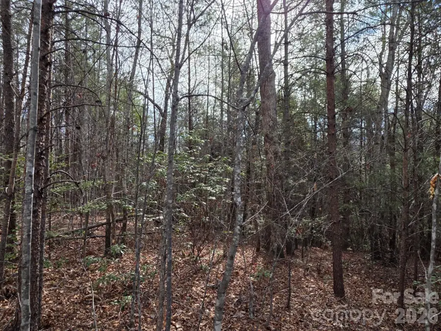 Lot 10 Kerlee Lane, Old Fort, NC 28762 - #3