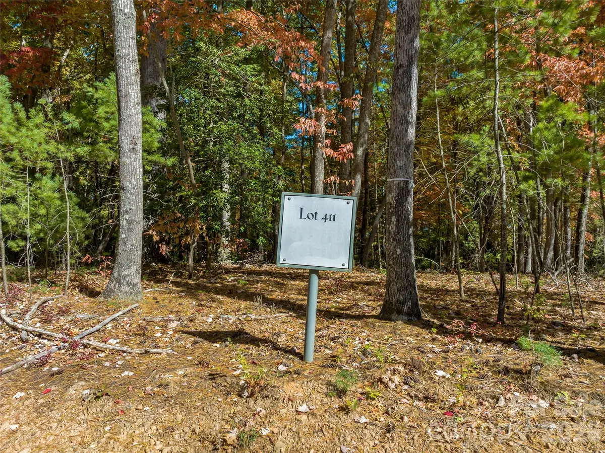 75 Emerald Necklace Drive #411, Asheville, NC 28803 - #1