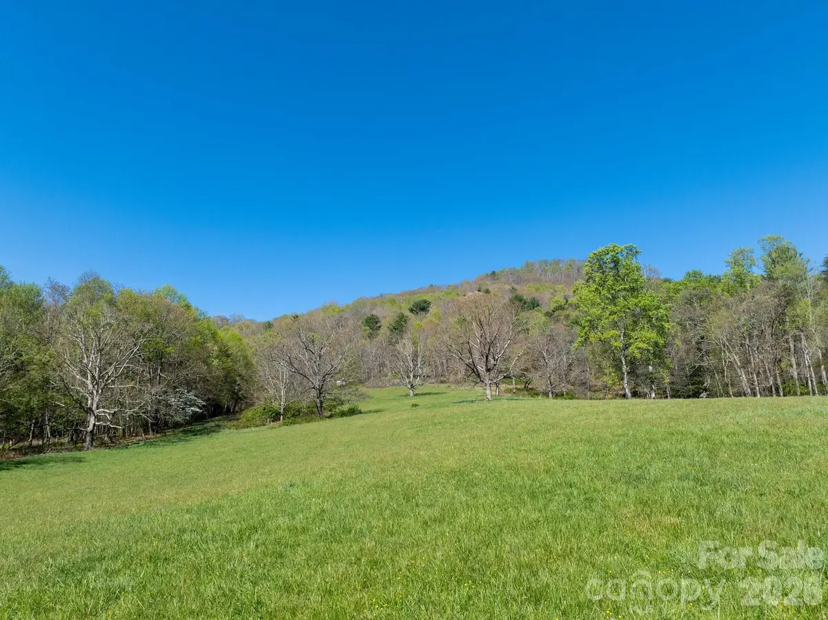 99999 Clarke Road, Asheville, NC 28805 - #1