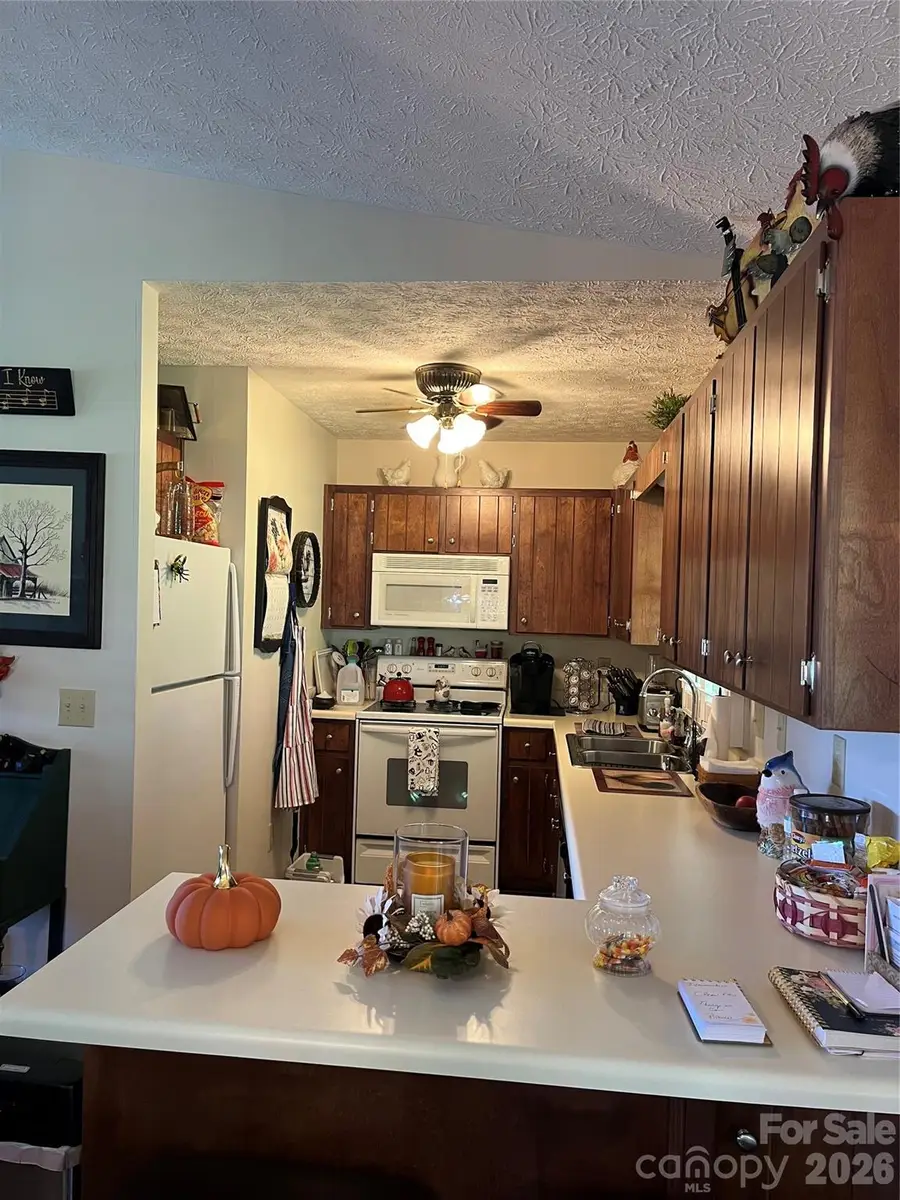 10 Onyx Lane, Maggie Valley, NC 28751 - #3