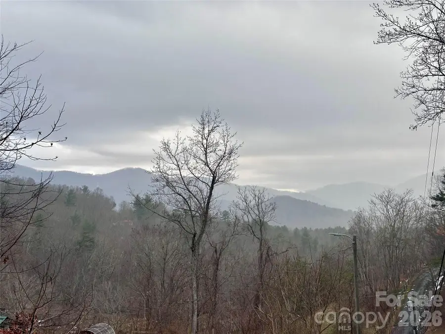 224 Riddle Road, Swannanoa, NC 28778 - #2