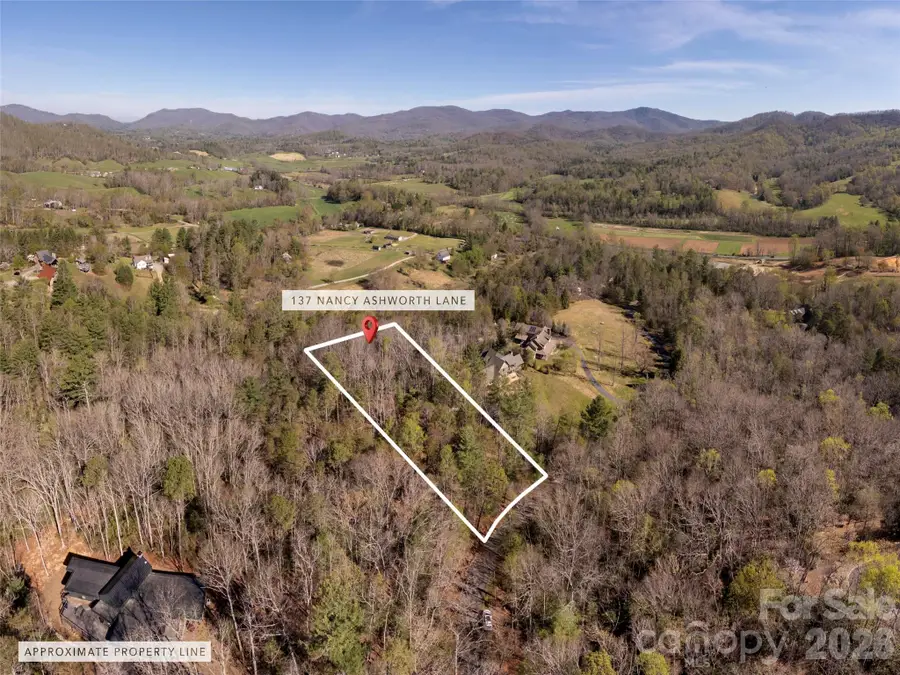137 Nancy Ashworth Lane #13, Fairview, NC 28730 - #3