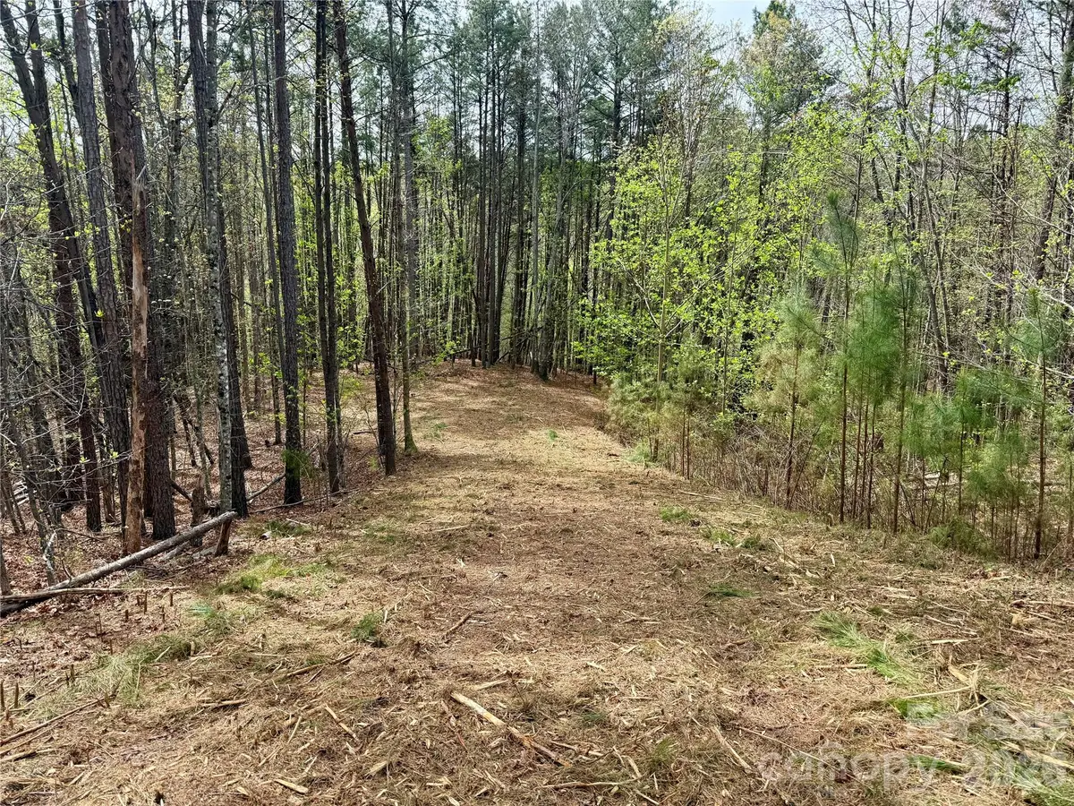 Lot 488 Bella Vista Way #488, Nebo, NC 28761 - #1