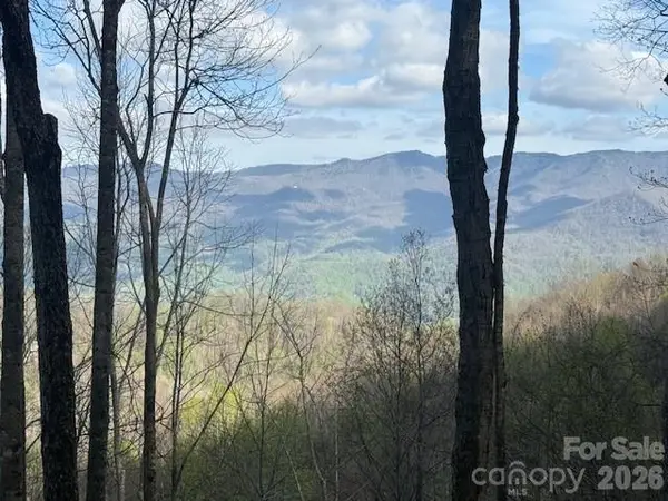 LT 70 Old Growth Way #70, Sylva, NC 28779