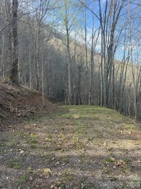 LT 70 Old Growth Way #70, Sylva, NC 28779 - #3