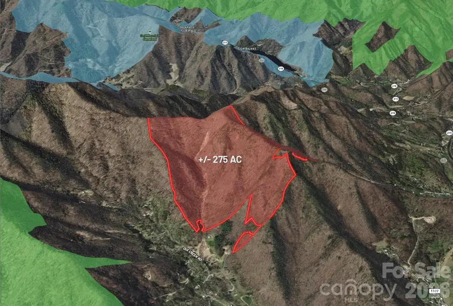 1299 Tiger Tail Lane, Canton, NC 28716 - #2