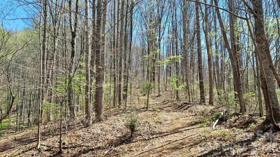 00 Maynor Drive, Sylva, NC 28779 - #2